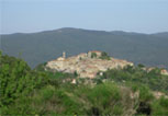 The House